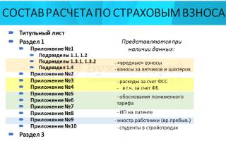 Бухучет инфо Заполнение титульного листа